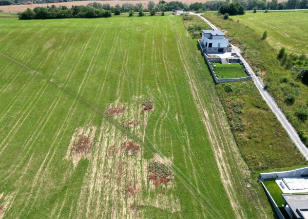 Na predaj, pozemky pre rodinné domy, ROSINA, RESgroup