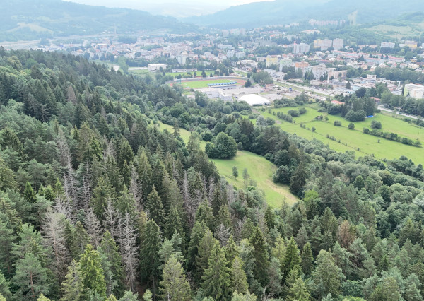 Na predaj, chata Čadca - časť Brehy, dom v lese